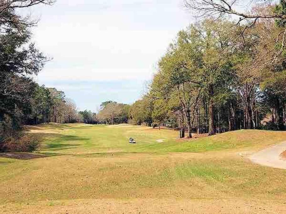 Donna'S Charm: 3 Br/King-Suite/Pools/Golf Daphne Luaran gambar